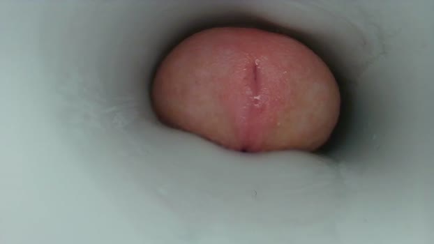 jeffrodgerschaturbat suckshow Webcam SHOW @ Chaturbate 12-12-2025