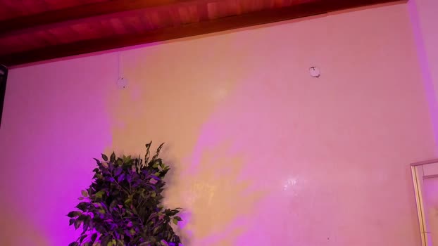 miss_sammyrose natural Webcam SHOW @ Chaturbate 15-12-2025