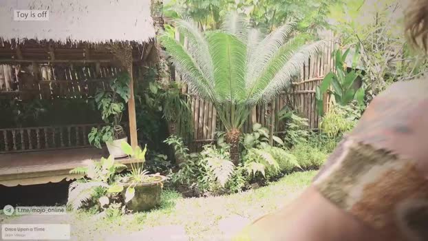 ohmymojo cute Webcam SHOW @ Chaturbate 16-12-2025