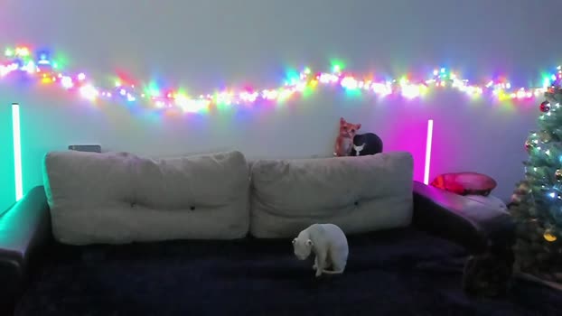 ostin_meoww kissing Webcam SHOW @ Chaturbate 20-12-2025