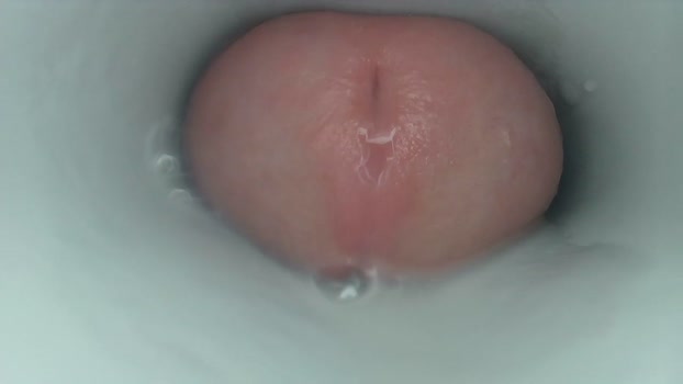 jeffrodgerschaturbat handsome Webcam SHOW @ Chaturbate 22-12-2025