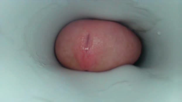 jeffrodgerschaturbat jerkoff Webcam SHOW @ Chaturbate 22-12-2025