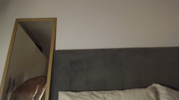 tarzan_thejungleboy harddick Webcam SHOW @ Chaturbate 23-12-2025