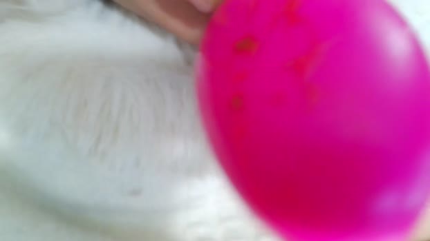 jbisex suck Webcam SHOW @ Chaturbate 25-12-2025
