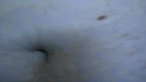 belle_ley suck Webcam SHOW @ Chaturbate 30-12-2025