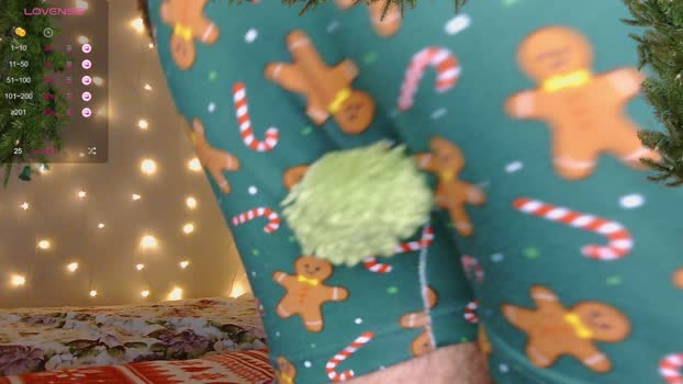 merry_mark lush Webcam SHOW @ Chaturbate 29-12-2025