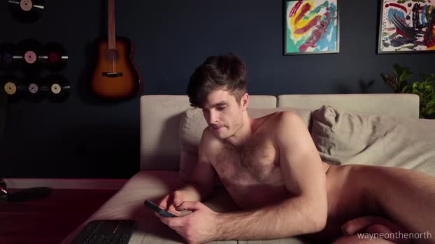 waynenorth sexy Webcam SHOW @ Chaturbate 03-01-2026