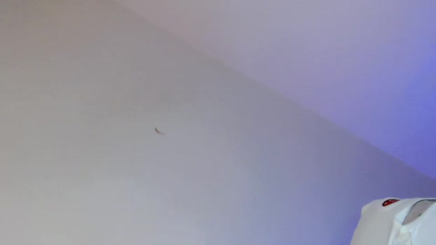 one_sweet_day18 tits Webcam SHOW @ Chaturbate 10-01-2026
