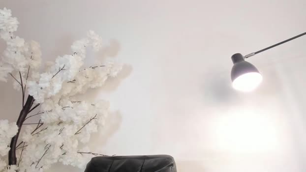 sweetsalice__ shemale Webcam SHOW @ Chaturbate 17-01-2026