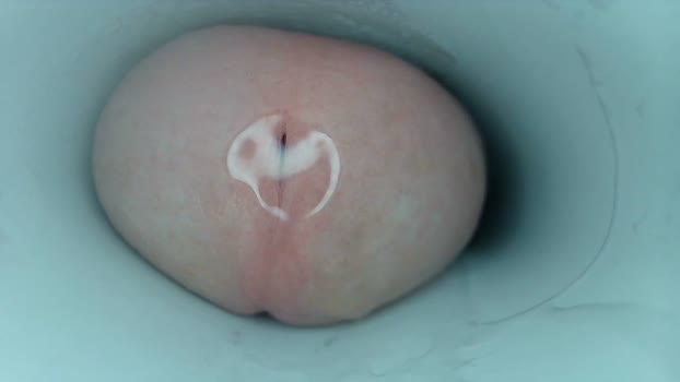 jeffrodgerschaturbat jerkoff Webcam SHOW @ Chaturbate 17-01-2026