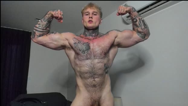 andy_hunk blowjob Webcam SHOW @ Chaturbate 21-01-2026
