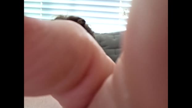 bayboy23843182