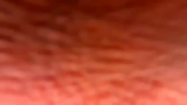 pitt821 naked Webcam SHOW @ Chaturbate 25-01-2026