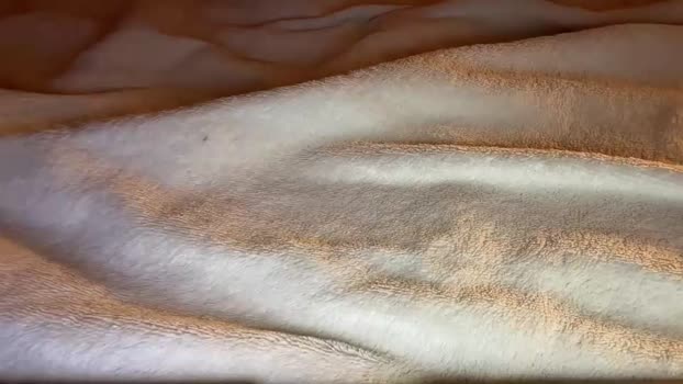 jamesdean0101 Show Webcam SHOW @ Chaturbate 28-01-2026