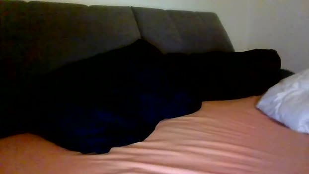 roaddogg1988 kink Webcam SHOW @ Chaturbate 04-02-2026