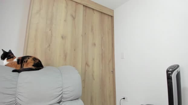 xspecialroomx spank Webcam SHOW @ Chaturbate 04-02-2026