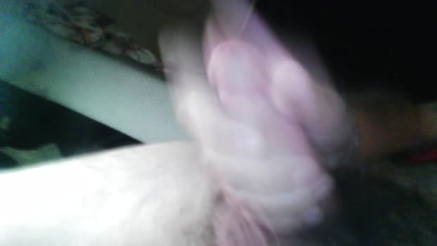 phxstud369 big Webcam SHOW @ Chaturbate 06-02-2026