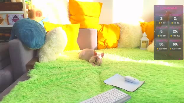 landel_boy amateur Webcam SHOW @ Chaturbate 07-02-2026