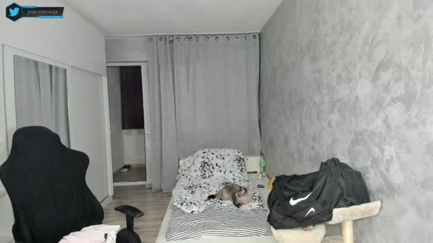 hogrider192 gay Webcam SHOW @ Chaturbate 08-02-2026