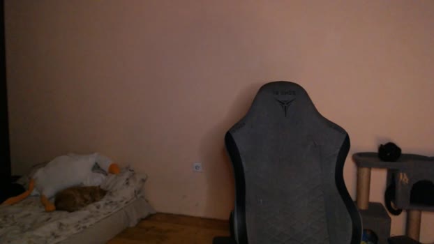 _purrari toy Webcam SHOW @ Chaturbate 10-02-2026