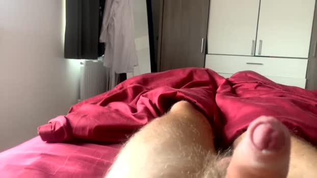 leo41231