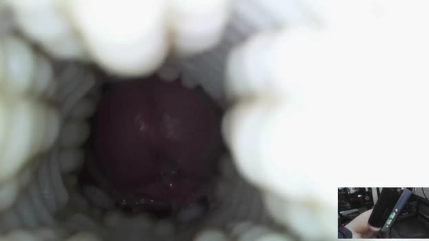 xoxowtf fingering Webcam SHOW @ Chaturbate 10-02-2026