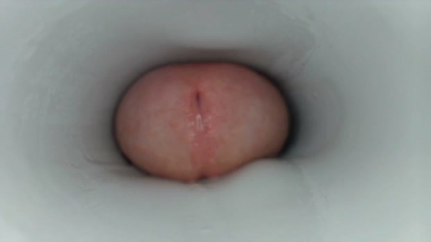 jeffrodgerschaturbat Cam Webcam SHOW @ Chaturbate 13-02-2026