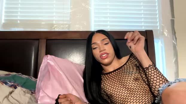 dynasty313 fuckface Webcam SHOW @ Chaturbate 16-02-2026