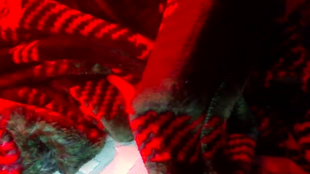 yourbitch1762 amateur Webcam SHOW @ Chaturbate 20-02-2026