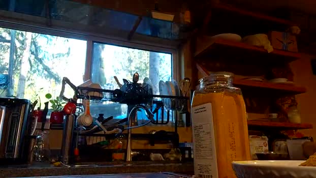info_chat blowjob Webcam SHOW @ Chaturbate 24-02-2026