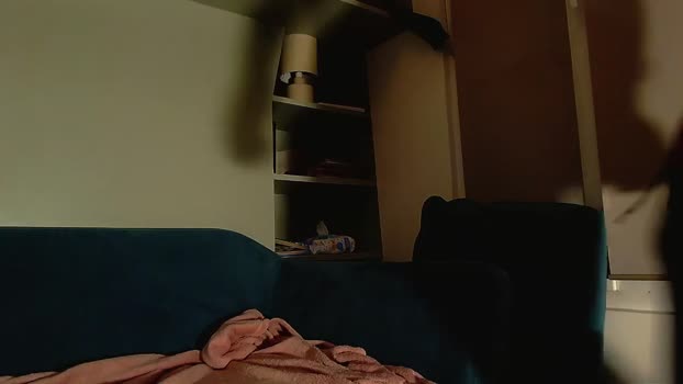 highnightz horny Webcam SHOW @ Chaturbate 26-02-2026