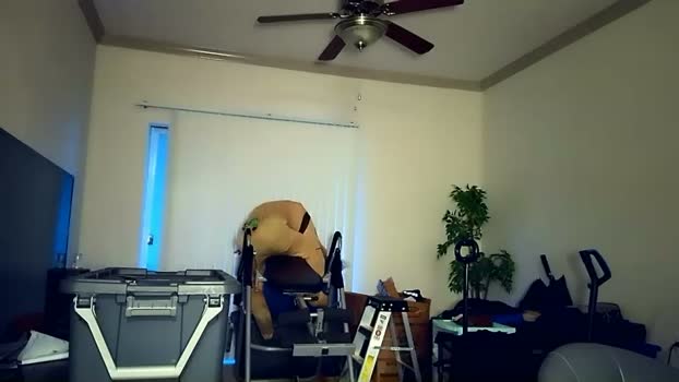 sashastrokes suck Webcam SHOW @ Chaturbate 11-03-2026