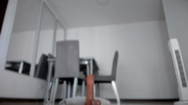 angelturned01 shemale Webcam SHOW @ Chaturbate 11-03-2026