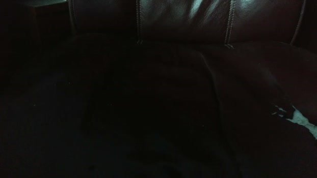verylittletiny deep Webcam SHOW @ Chaturbate 17-03-2026