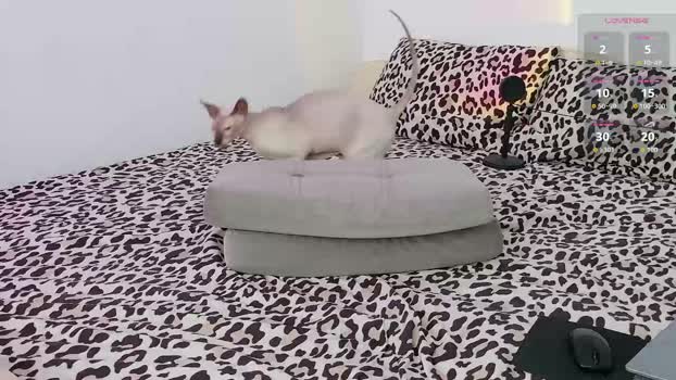 leonlure bigballs Webcam SHOW @ Chaturbate 20-03-2026