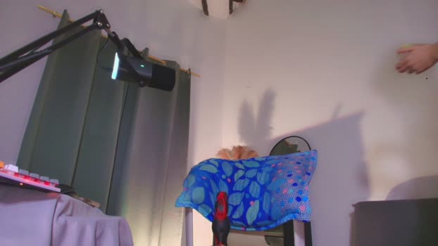 heaven_puertas suckshow Webcam SHOW @ Chaturbate 21-03-2026