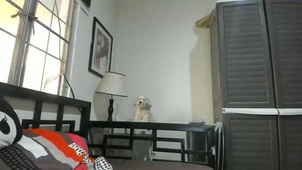 xdreamangel sex Webcam SHOW @ Chaturbate 28-03-2026