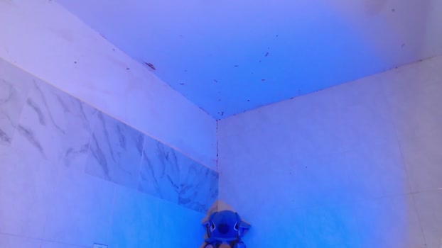 couple_sweet1016 Porn Webcam SHOW @ Chaturbate 30-03-2026