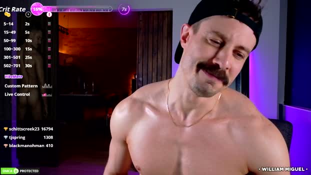 willyumx 02-04-2026 Gay Recording - striptease Show