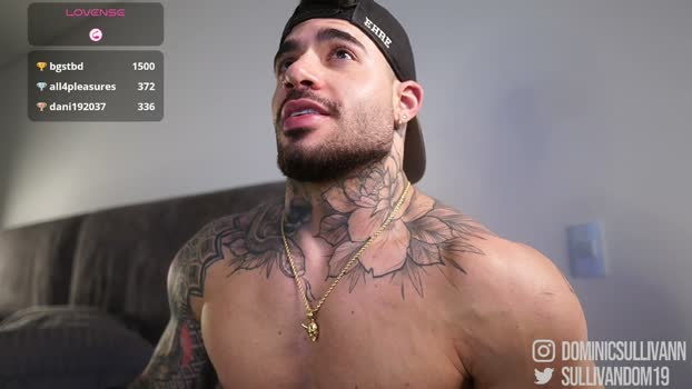 dominic_sullivan1 10-04-2026 Gay Recording - suckcock lovense