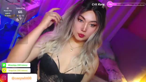 koreandollts 13-04-2026 Gay Recording - Shemale bigtoys