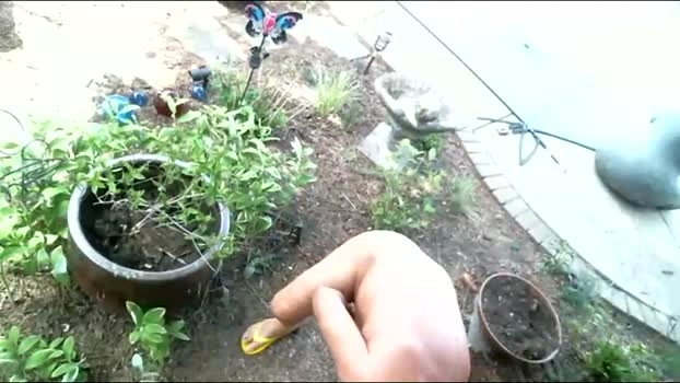 anoaklawnguy 23-04-2026 Gay Recording - handsome jerkoff