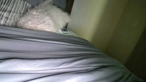 bigdicktrannynicole 29-04-2026 Gay Recording - fuckme cute