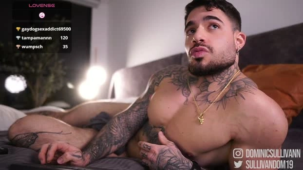 dominic_sullivan1 03-05-2026 Gay Recording - love beauty