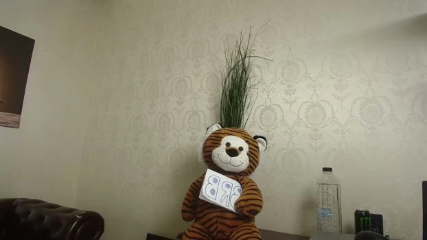 kyloeast 04-05-2026 Gay Recording - sex jerkoff
