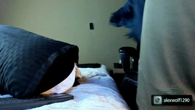 alex_wolf__ 11-05-2026 Gay Recording - play blowjob