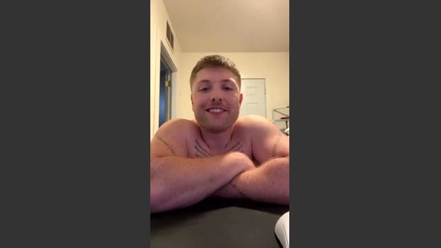 americanstalion