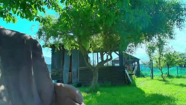 alexsunn 23-05-2026 Male Recording - fingers bigload