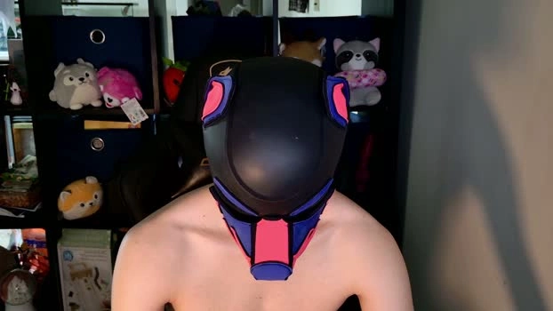 mellpup 17-06-2026 Male Recording - fuckher playtime