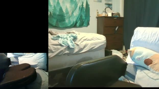 nolan_fox